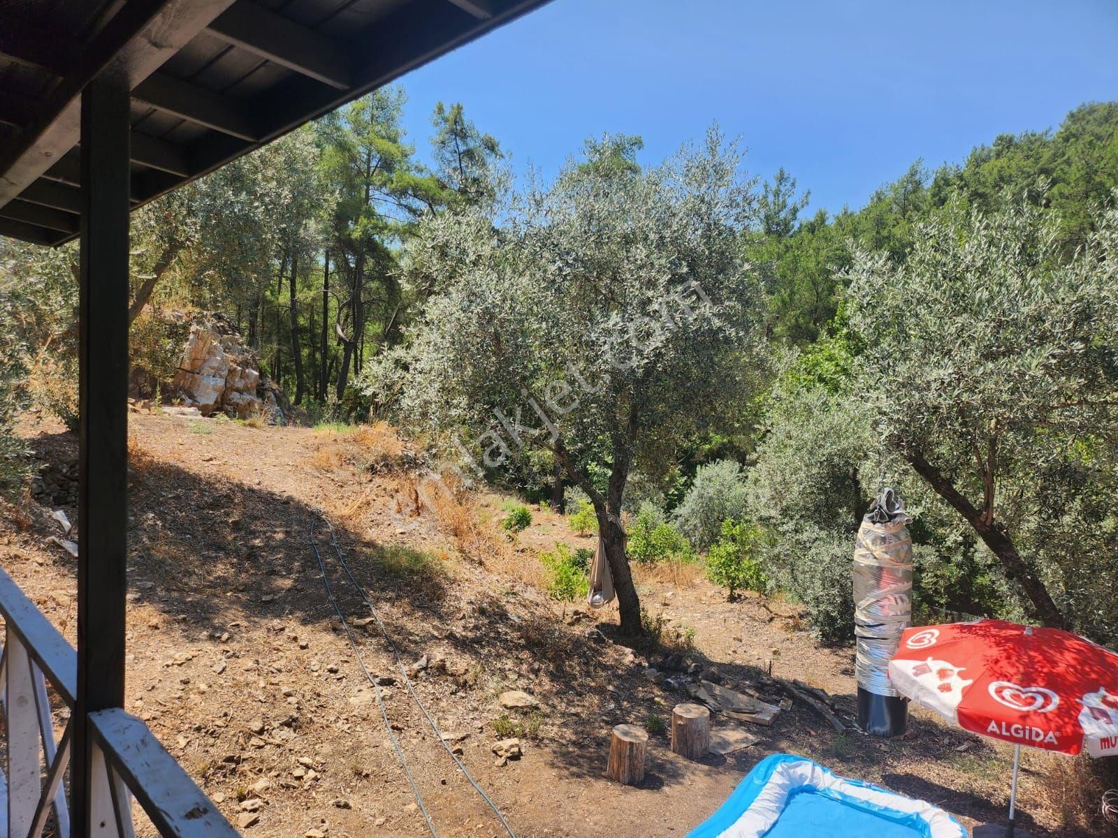 Döşemealtı Ahırtaş'ta Ormana Sıfır 4.065 M² Tek Tapu Tarlaahşap Dublex Ev Doğa, Huzur Ve Yatırım - Görsel 19