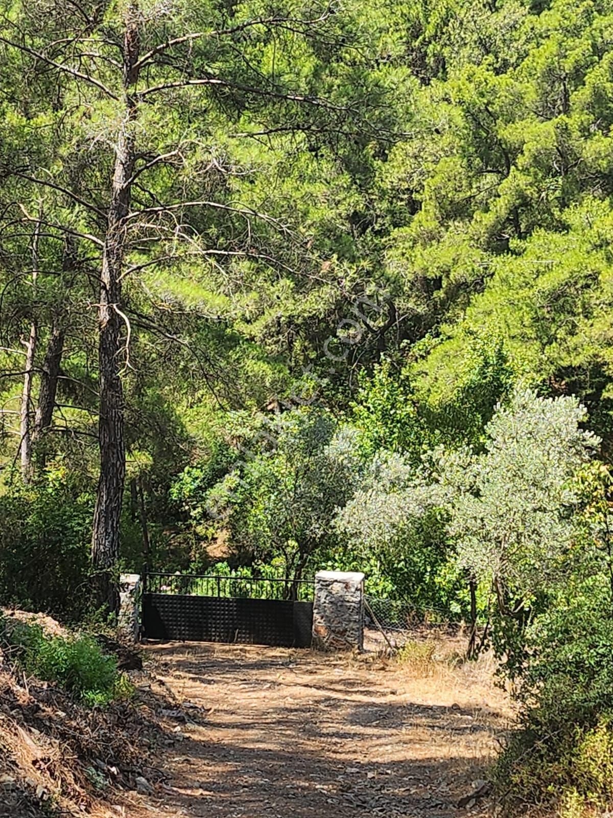 Döşemealtı Ahırtaş'ta Ormana Sıfır 4.065 M² Tek Tapu Tarlaahşap Dublex Ev Doğa, Huzur Ve Yatırım - Görsel 23