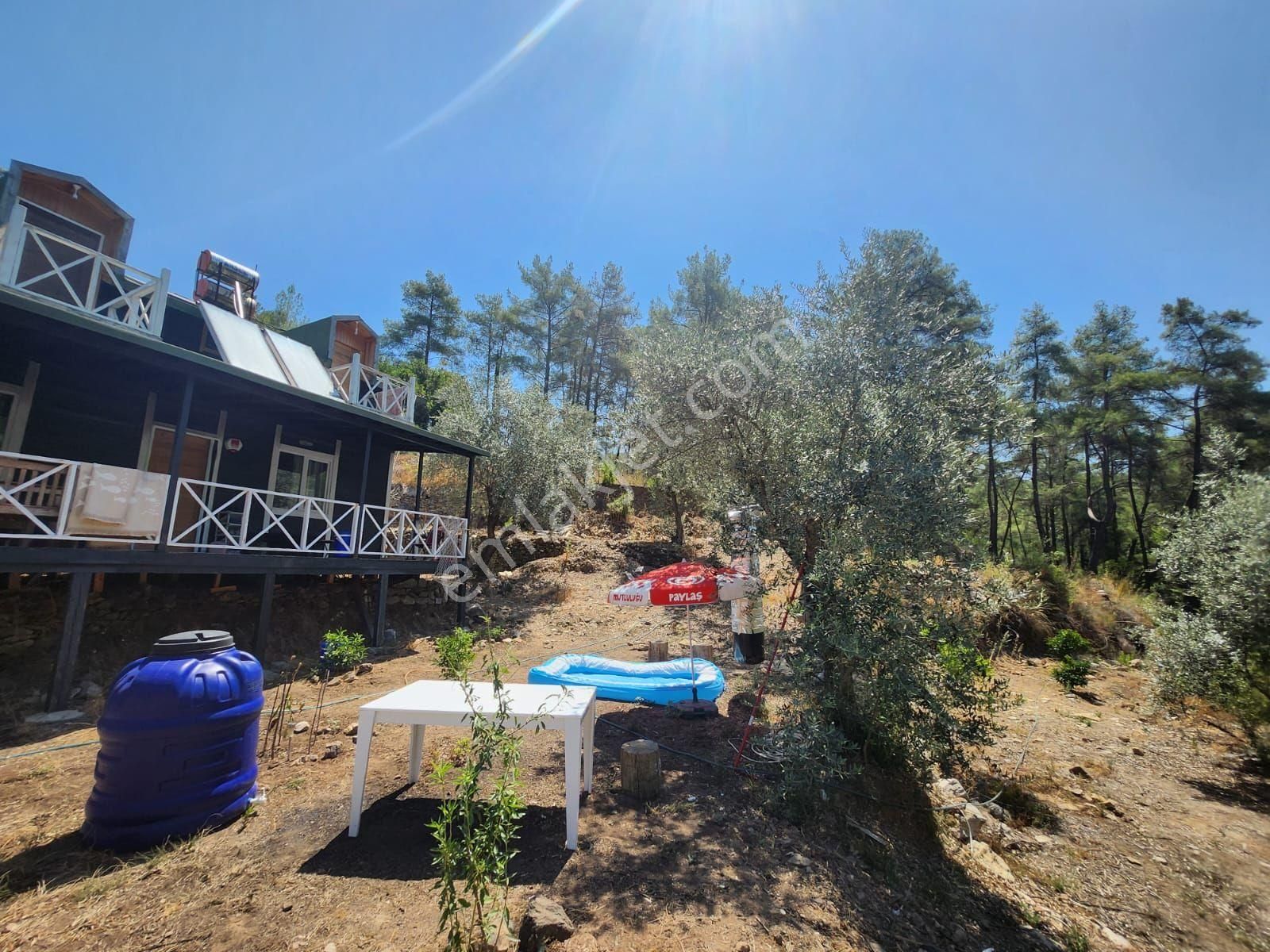 Döşemealtı Ahırtaş'ta Ormana Sıfır 4.065 M² Tek Tapu Tarlaahşap Dublex Ev Doğa, Huzur Ve Yatırım - Görsel 32