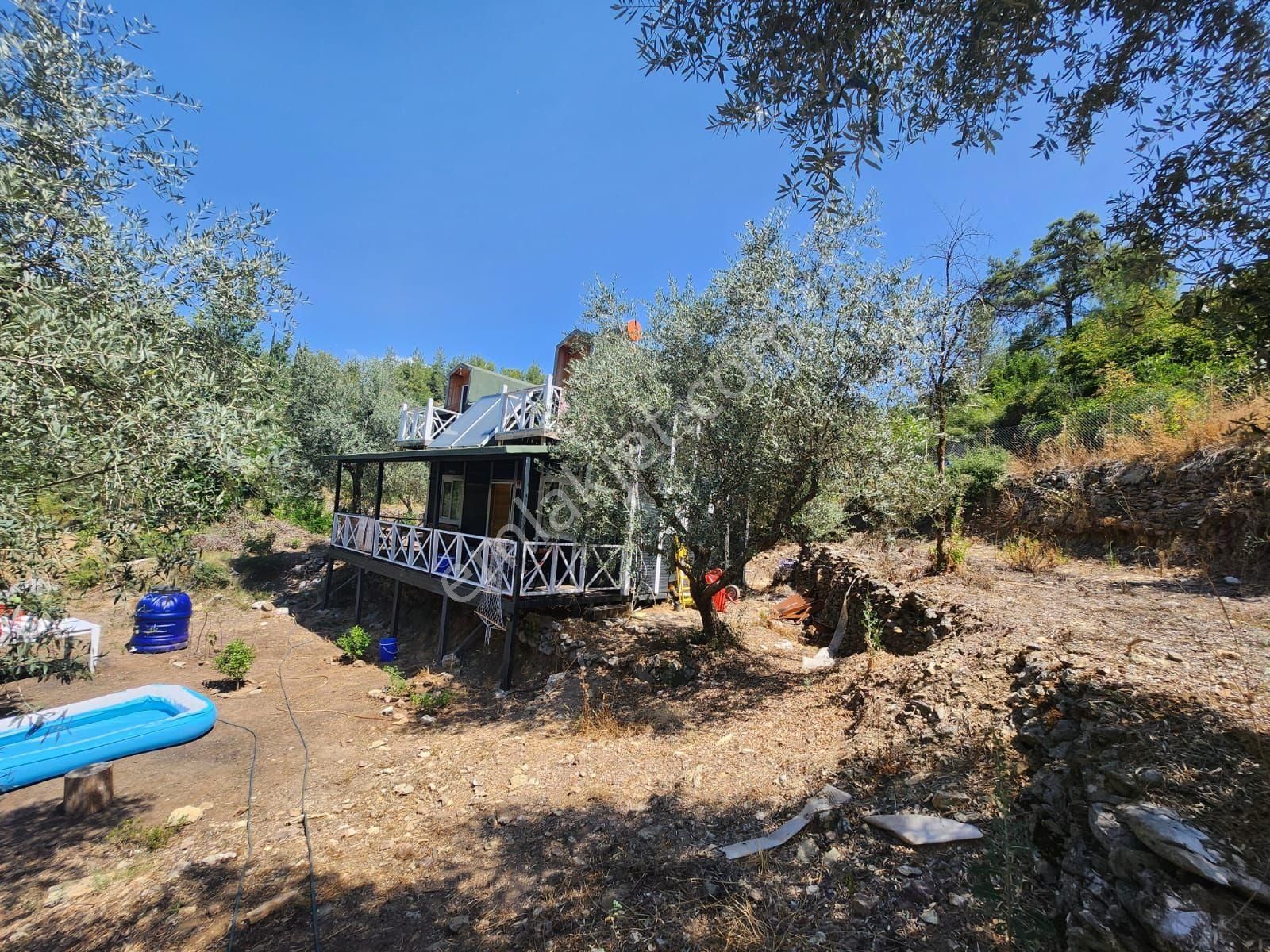 Döşemealtı Ahırtaş'ta Ormana Sıfır 4.065 M² Tek Tapu Tarlaahşap Dublex Ev Doğa, Huzur Ve Yatırım - Görsel 26