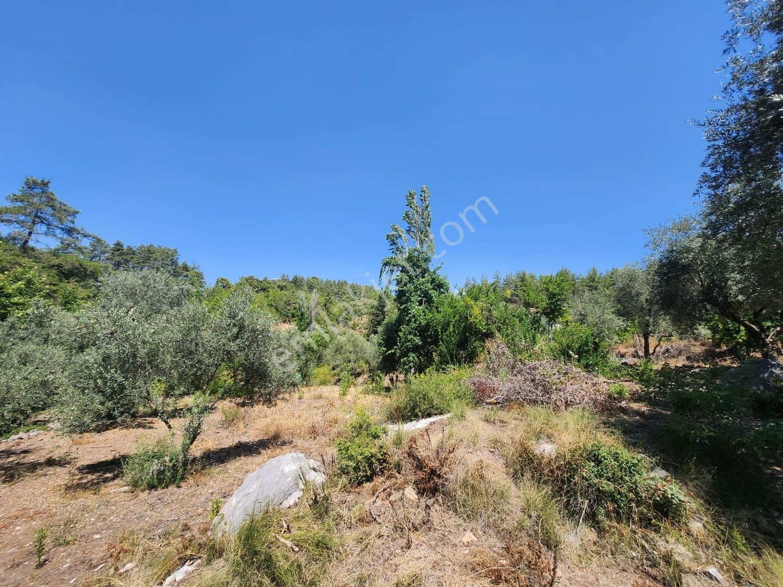 Döşemealtı Ahırtaş'ta Ormana Sıfır 4.065 M² Tek Tapu Tarlaahşap Dublex Ev Doğa, Huzur Ve Yatırım - Görsel 30