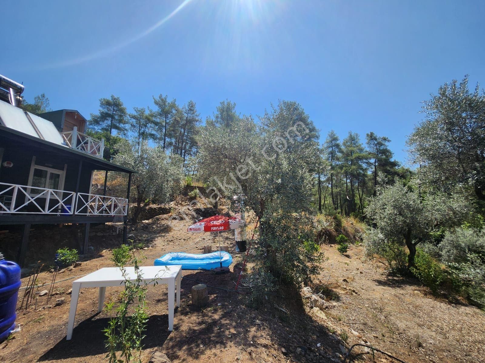 Döşemealtı Ahırtaş'ta Ormana Sıfır 4.065 M² Tek Tapu Tarlaahşap Dublex Ev Doğa, Huzur Ve Yatırım - Görsel 33