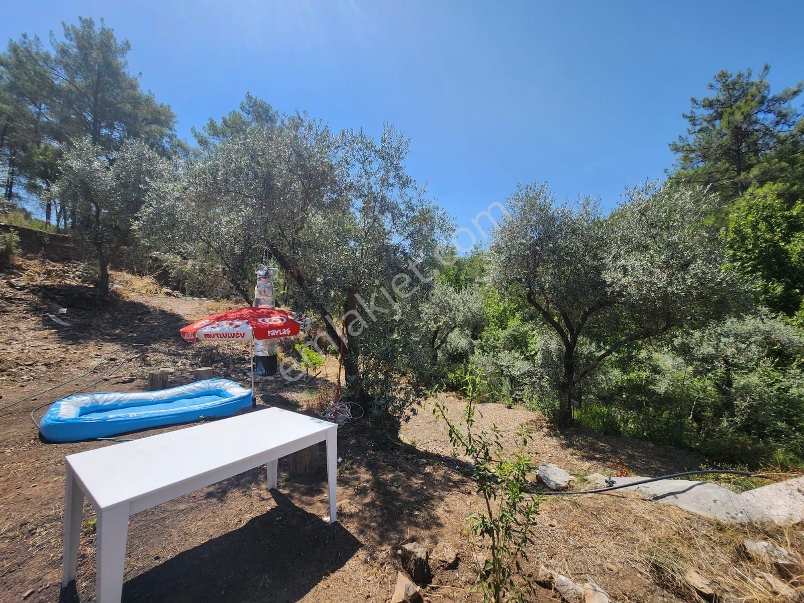 Döşemealtı Ahırtaş'ta Ormana Sıfır 4.065 M² Tek Tapu Tarlaahşap Dublex Ev Doğa, Huzur Ve Yatırım - Görsel 35