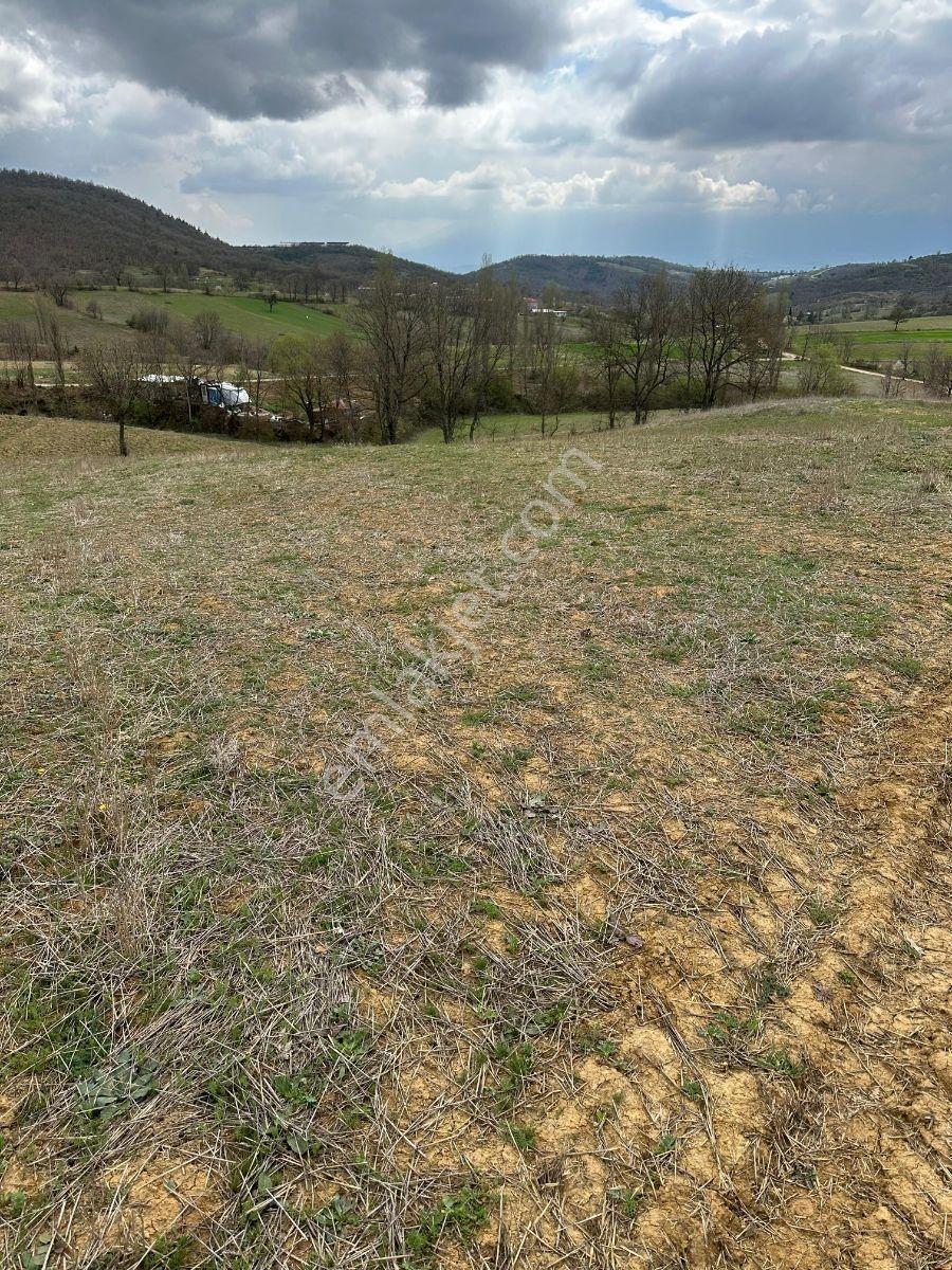 Bursa Kestel Nüshetiye Satılık Yatırımlık Çiftliğe Uygun Tarla - Görsel 35