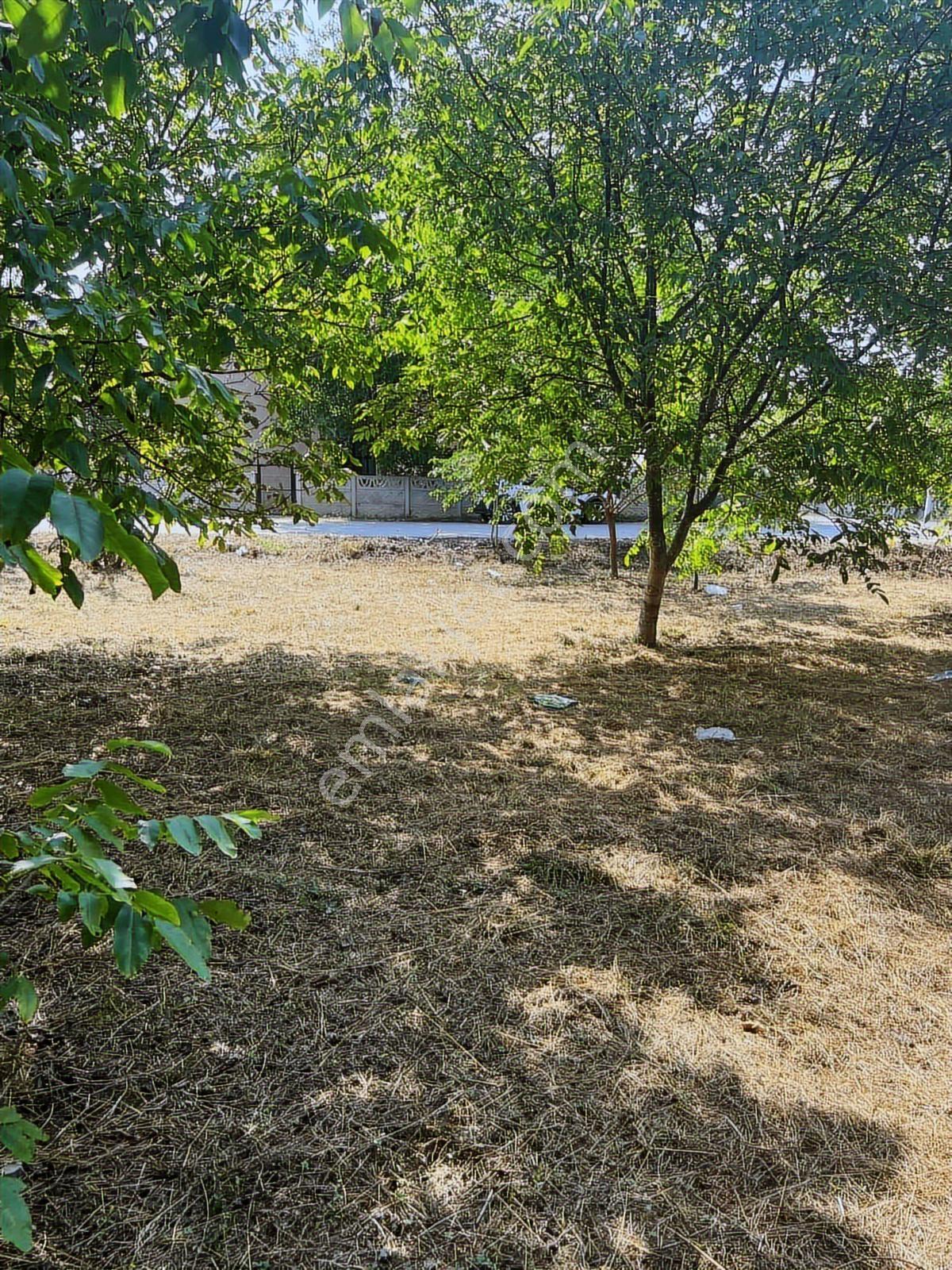Ruşen Aydın Gayrimenkul'den Kaynaşlı Kumluca'da Satılık Arsa - Görsel 18