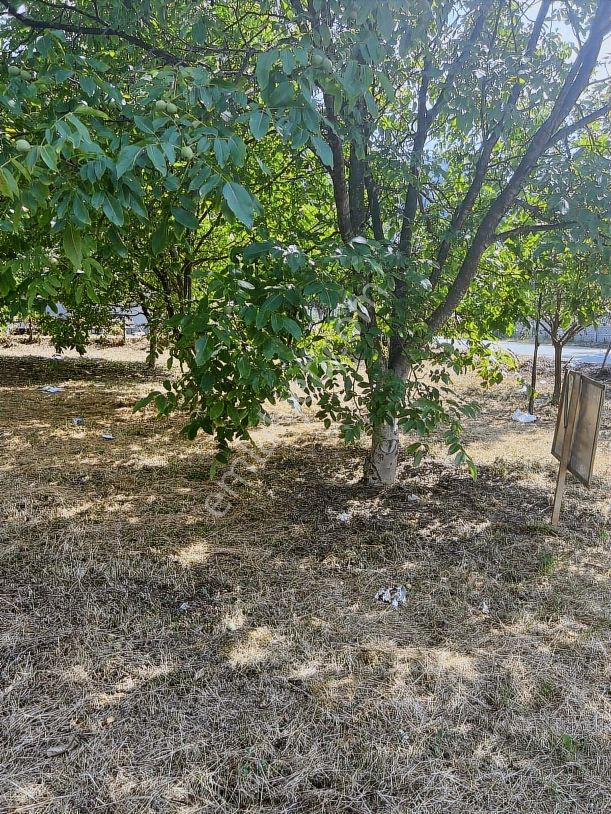 Ruşen Aydın Gayrimenkul'den Kaynaşlı Kumluca'da Satılık Arsa - Görsel 27