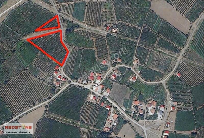 Çarşamba A.esenli Mh Köy İçi İmar İçinde Bakımlı Fındık Bahçesi