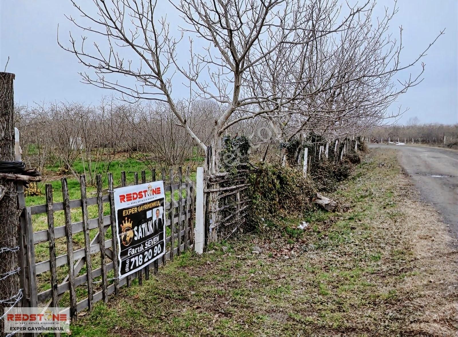Çarşamba A.esenli Mh Köy İçi İmar İçinde Bakımlı Fındık Bahçesi - Görsel 18