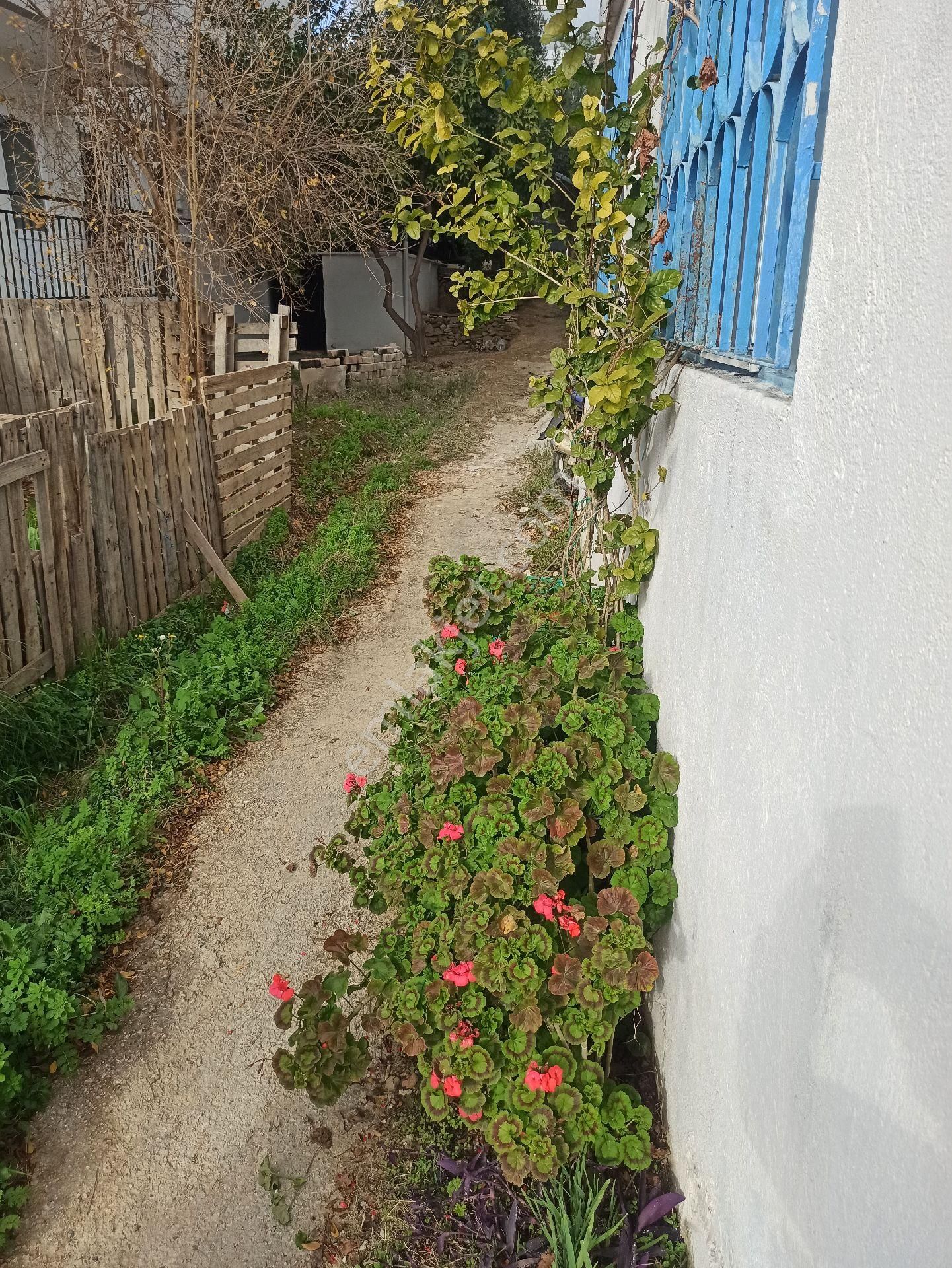 İdamax 'tan Matso Denizcilik Civarında 2+1 Müstakil Ev - Görsel 11