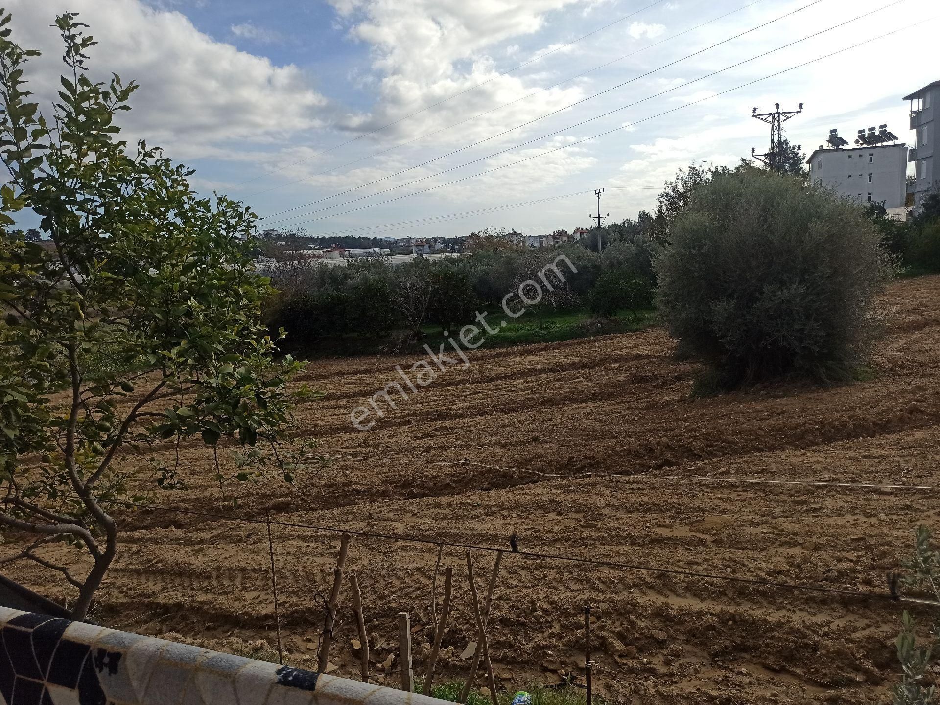 İdamax 'tan Matso Denizcilik Civarında 2+1 Müstakil Ev - Görsel 6