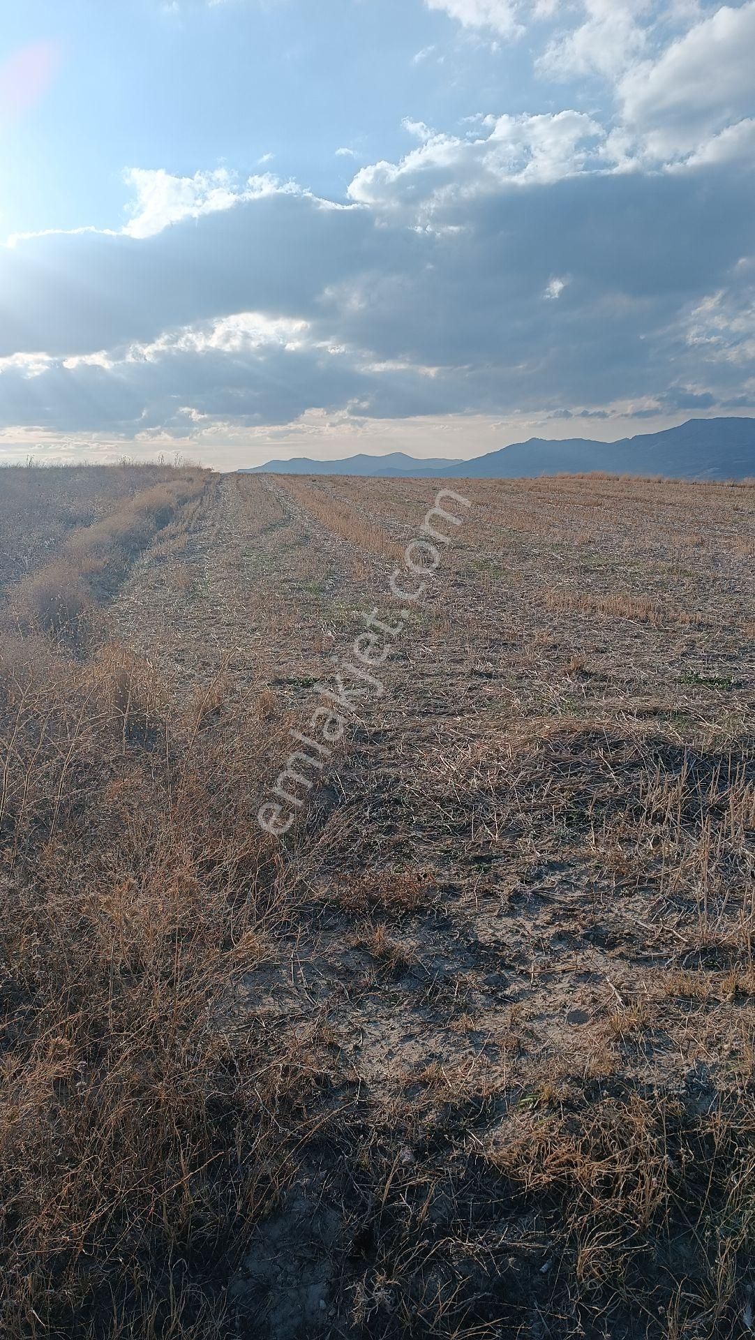 Wisrem Burdur'dan Satılık 15.467 M² Tarla - Görsel 2