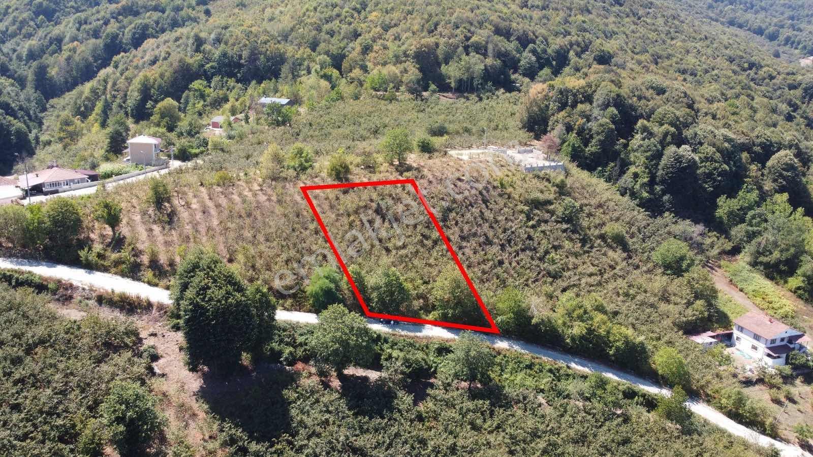 Ruşen Aydın Gayrımenkul'den Düzce / Kaynaşlı 'da Satılık Arsa - Görsel 14