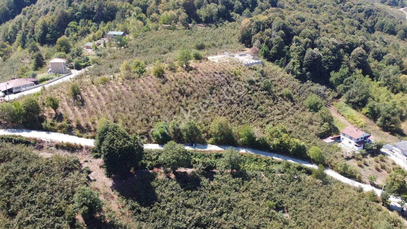 Ruşen Aydın Gayrımenkul'den Düzce / Kaynaşlı 'da Satılık Arsa - Görsel 21