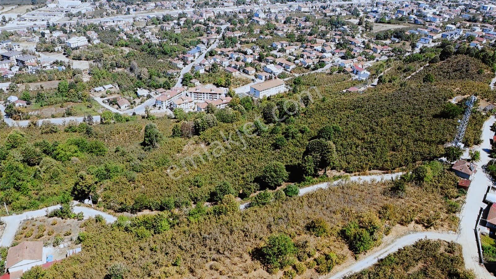 Ruşen Aydın Gayrımenkul'den Düzce / Kaynaşlı 'da Satılık Arsa - Görsel 20