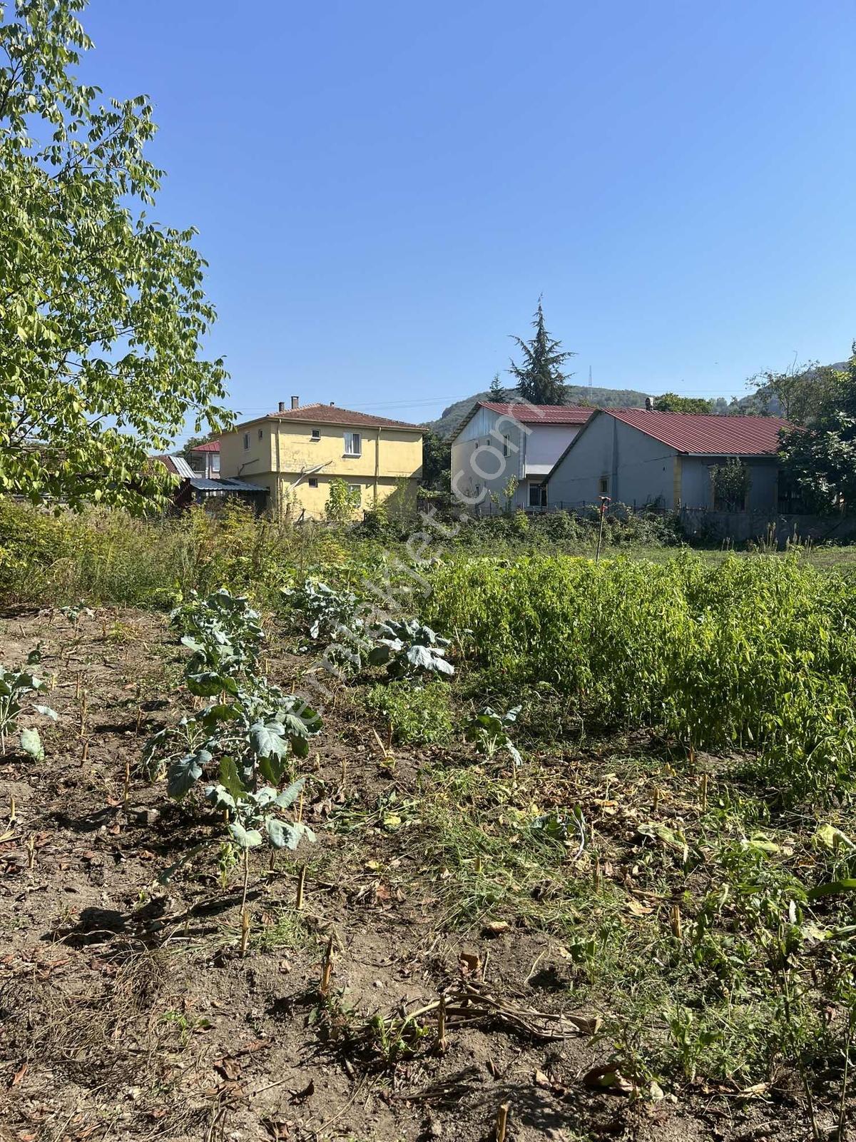 Ruşen Aydın Gyd'dan Kaynaşlı / Karaçalı'da Satılık İmarlı Arsa - Görsel 27
