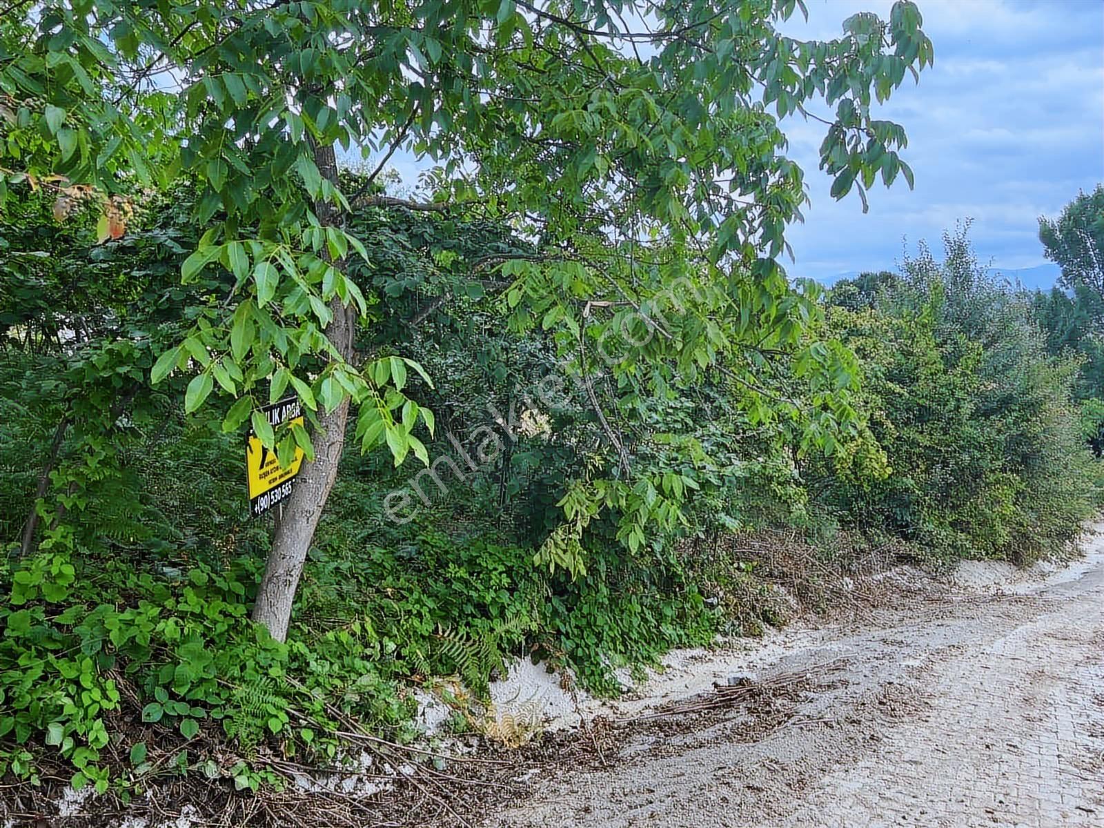 Ruşen Aydın G.menkul'den Düzce Kaynaşlı Karaçalı Mah Satılk Arsa - Görsel 7