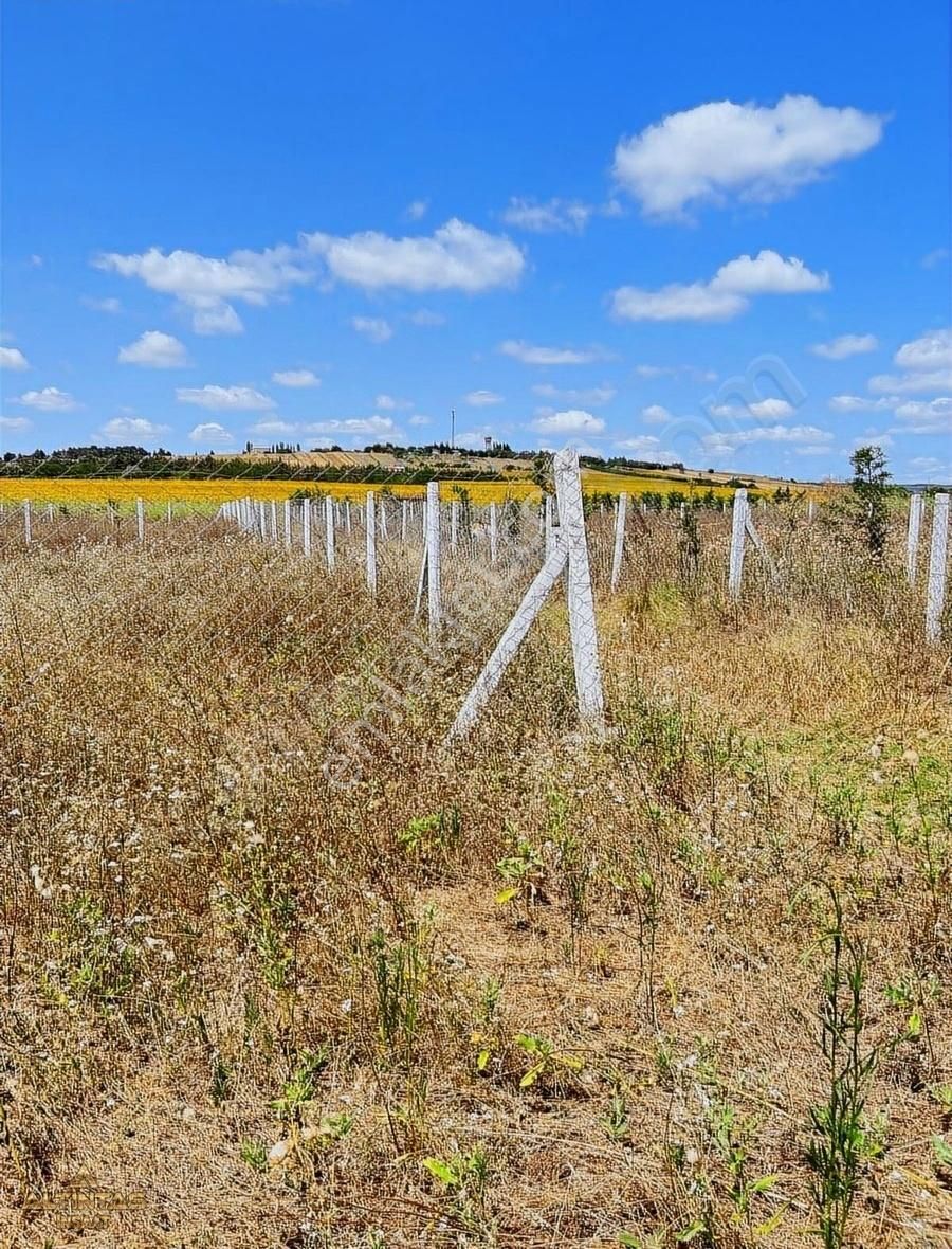 Silivri'de Satılık Arsa - Görsel 8