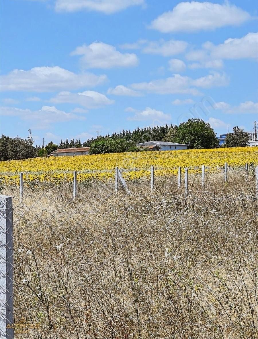 Silivri'de Satılık Arsa - Görsel 3