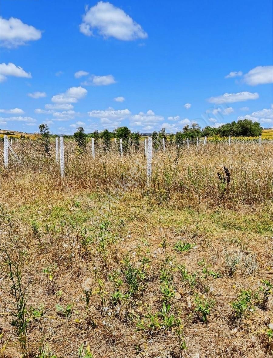 Silivri'de Satılık Arsa - Görsel 14