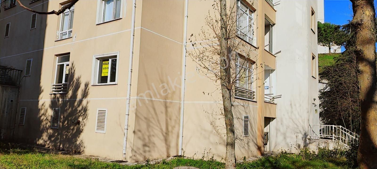 Villa Tadında, Müstakil Havasında Bahçe Katı Kiralık 2+1 Daire - Görsel 16