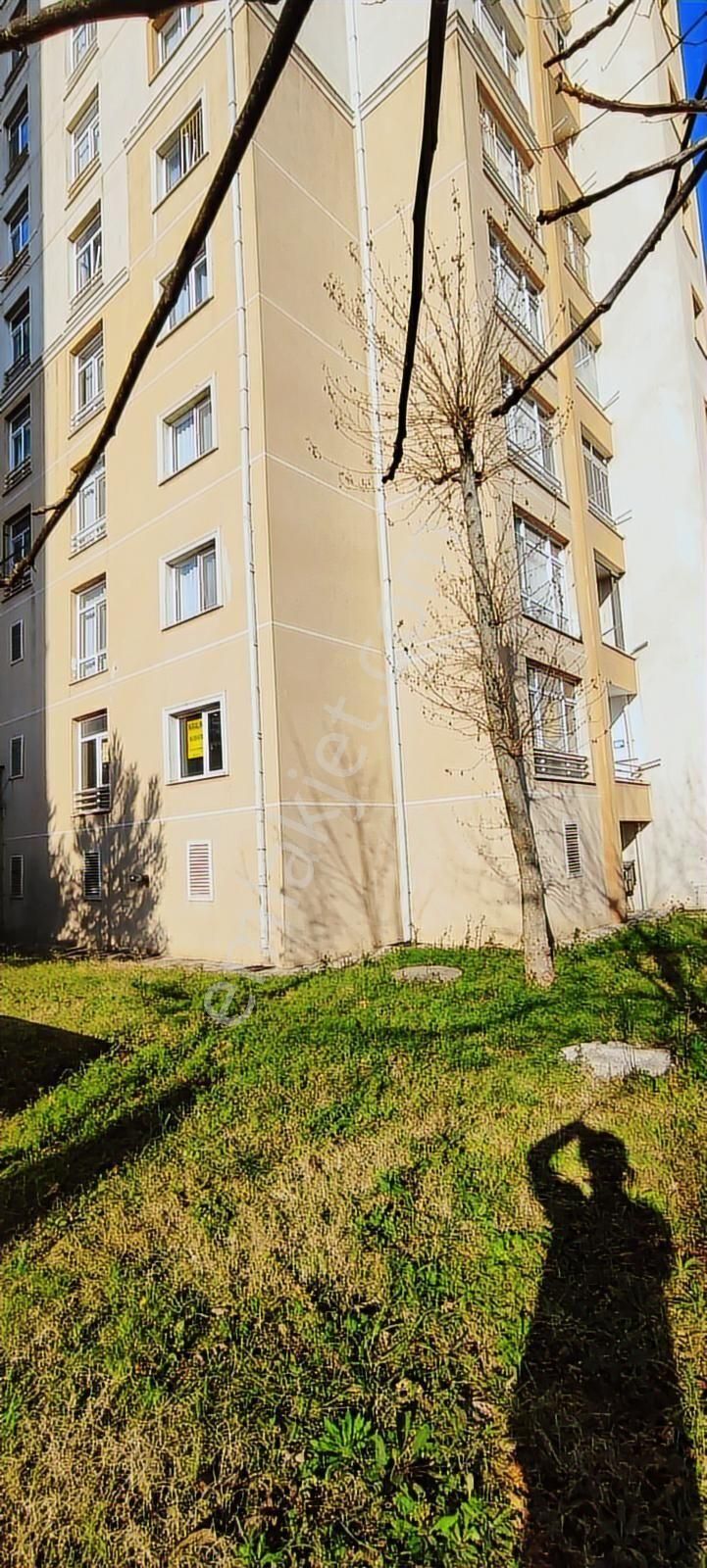 Villa Tadında, Müstakil Havasında Bahçe Katı Kiralık 2+1 Daire - Görsel 4
