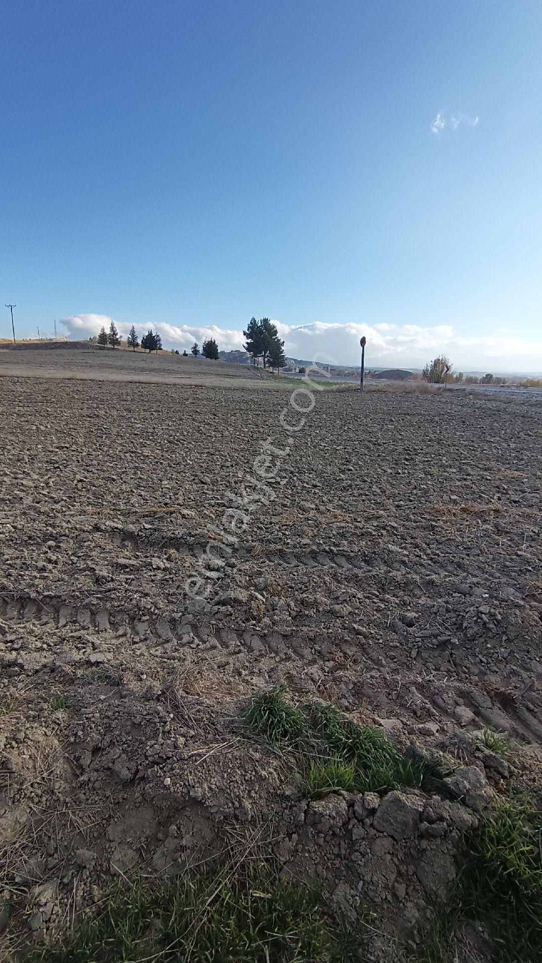 Wisrem Burdur'dan Satılık Asvalt Yol Kenarı Tarla - Görsel 4