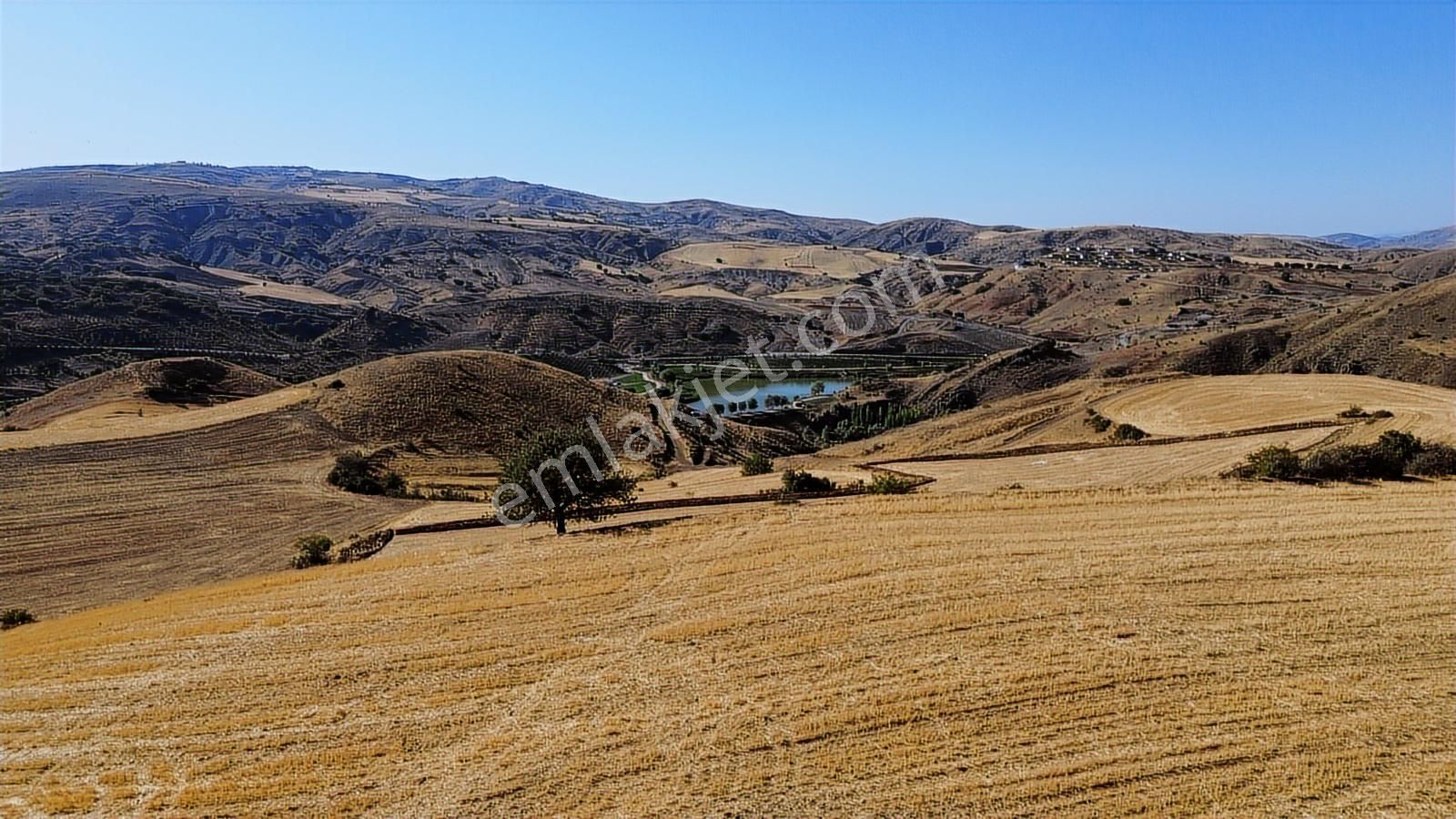 Han'dan Göl Manzaralı İmara Sınır Yola Cephe Kelepir Tarla - Görsel 31