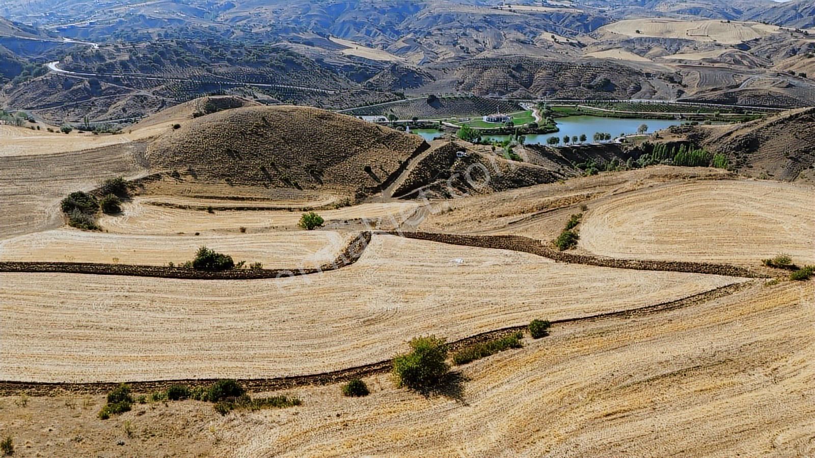 Han'dan Göl Manzaralı İmara Sınır Yola Cephe Kelepir Tarla - Görsel 33