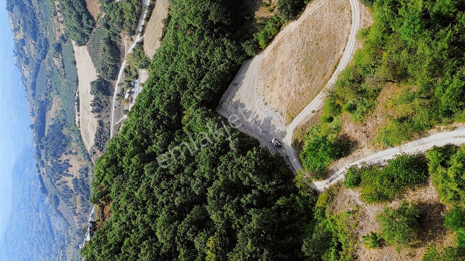 Cerrah'a 2,5 Km 1034m2 Tek Tapu Müstakil Parsel Resmi Yol - Görsel 19