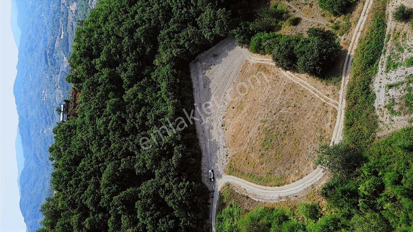 Cerrah'a 2,5 Km 1034m2 Tek Tapu Müstakil Parsel Resmi Yol - Görsel 13
