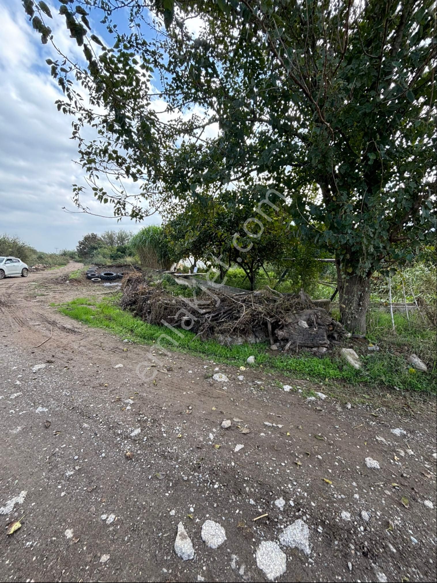 Sezgin Emlak Dan Aydın Nazilli Hamzalı Köy İmarı Dibinde Satılık Sebze Bahçesi