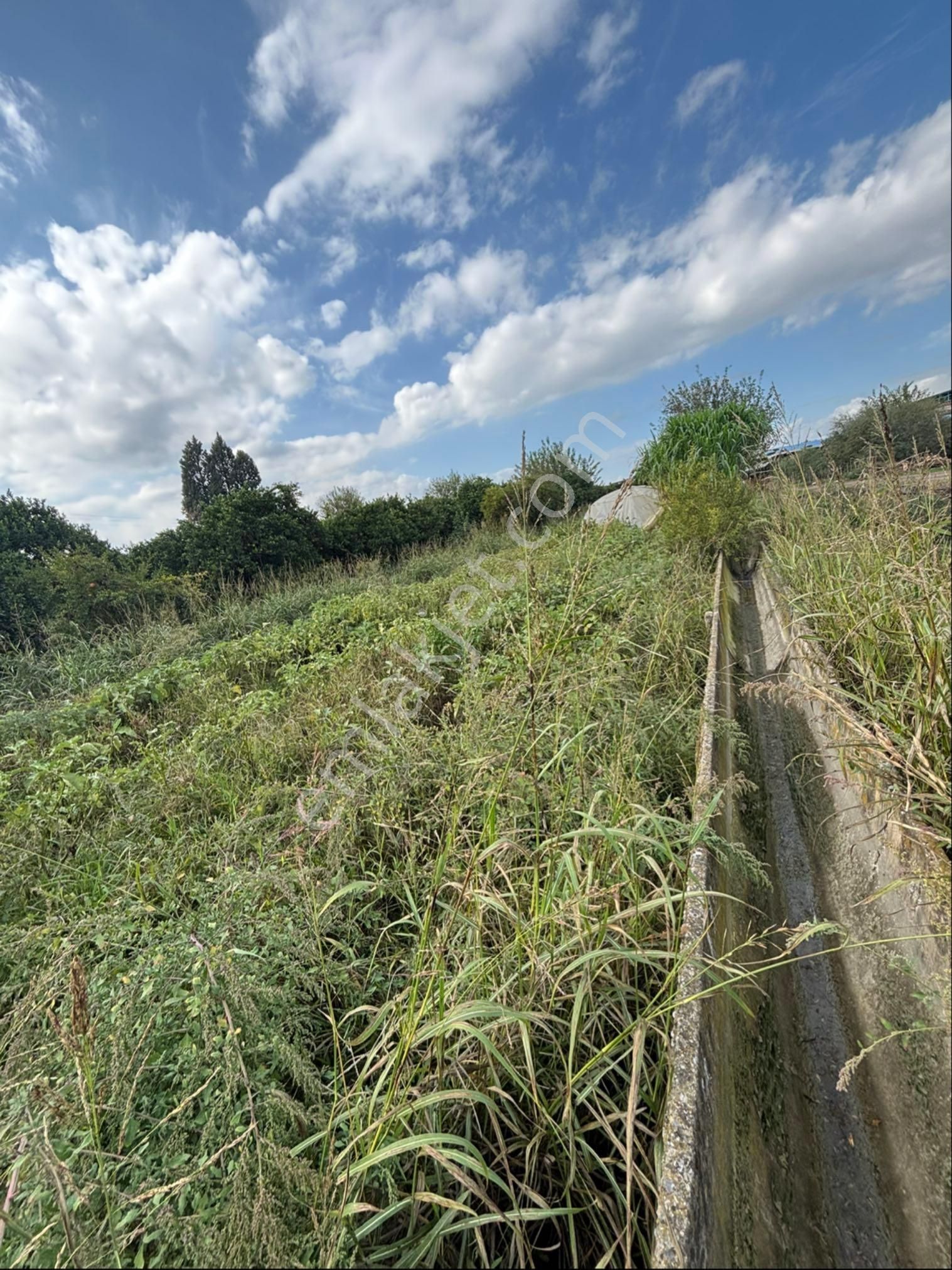 Sezgin Emlak Dan Aydın Nazilli Hamzalı Köy İmarı Dibinde Satılık Sebze Bahçesi - Görsel 10