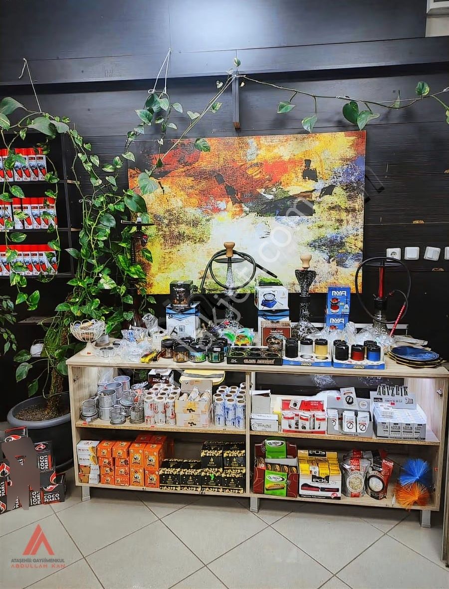 Devren Tütüncü Dükkanı - Yüksek Ciro Ve Hareketli Cadde Üzerinde - Görsel 6