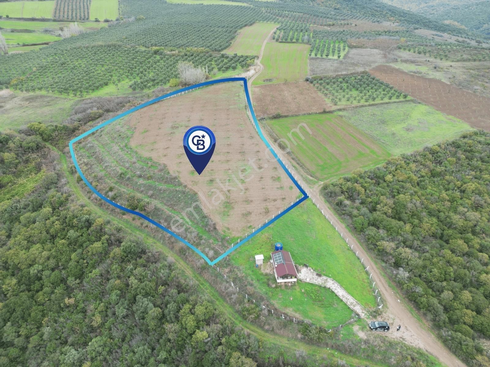 Karacabey Akçasusurluk Satılık Ceviz Bahçesi - Görsel 3