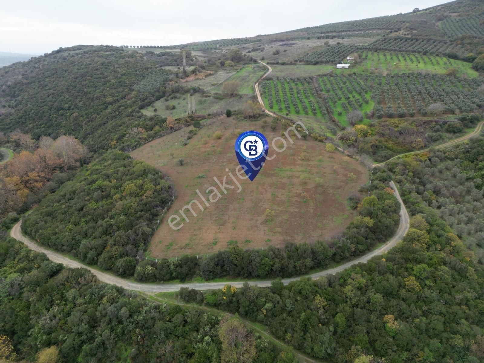 Karacabey Akçasusurluk Satılık Tarla - Görsel 3