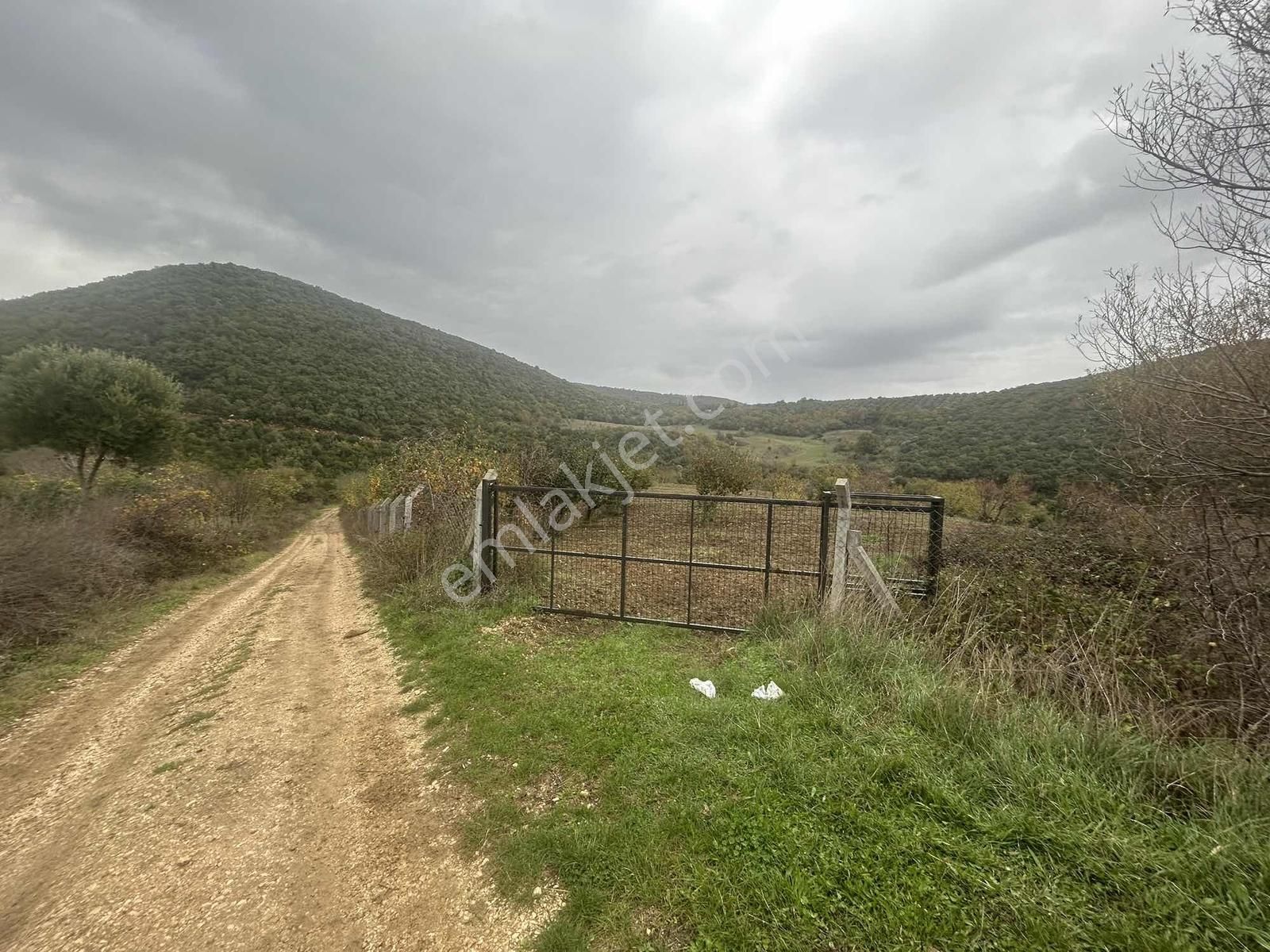 Karacabey Akçasusurluk Satılık Tarla - Görsel 6