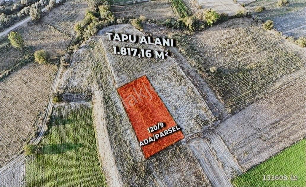 Bursa Yenişehir Köprühisar Mahallesi Yatırımlık Arazi