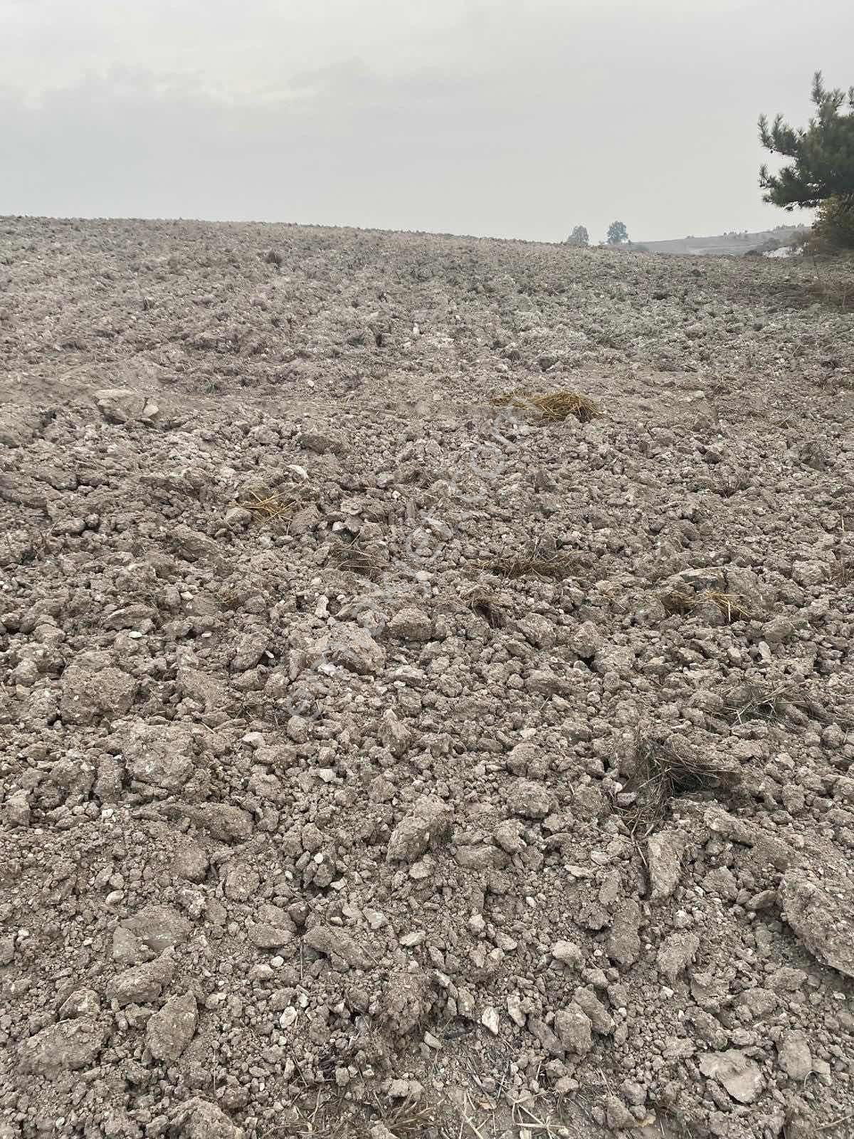 Karaamca Mahallesi Yatırımlık Uygun Arazi - Görsel 14