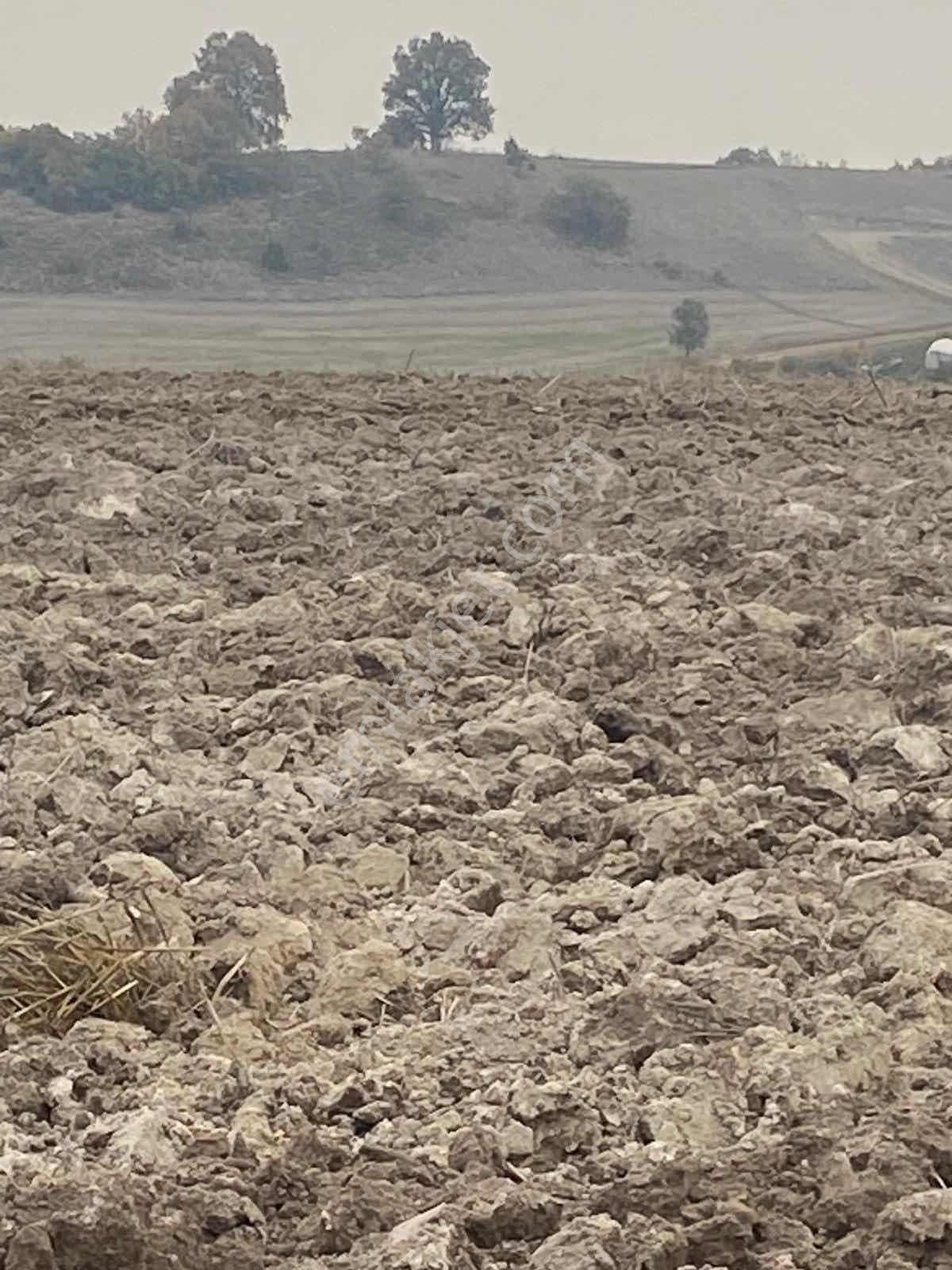 Karaamca Mahallesi Yatırımlık Uygun Arazi - Görsel 10