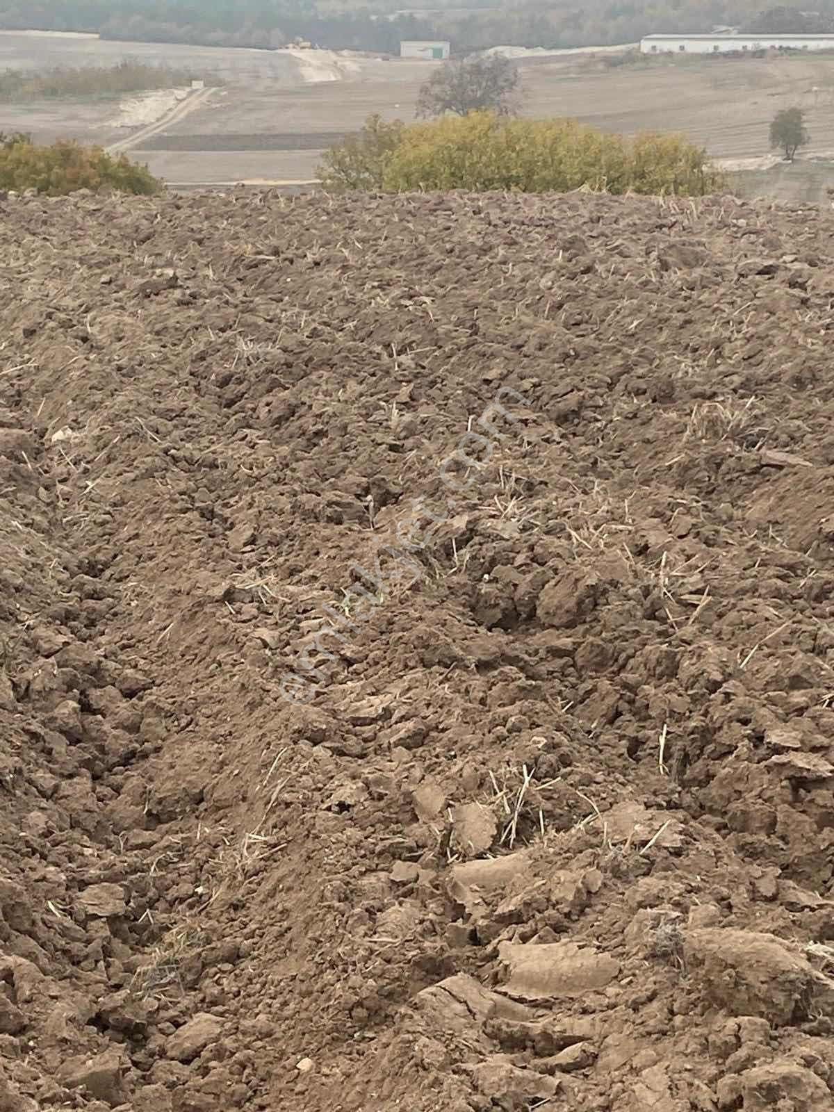 Karaamca Mahallesi Yatırımlık Uygun Arazi - Görsel 8