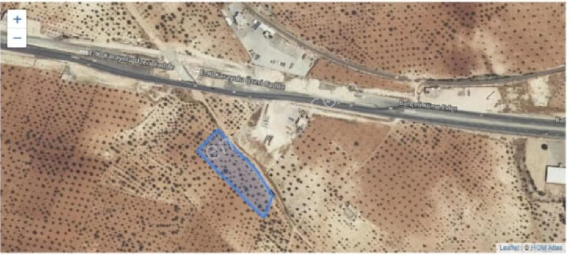 Satılık Fıstık Ve Zeytin Ağaçlı, Ana Yola Yakın Verimli Arazi