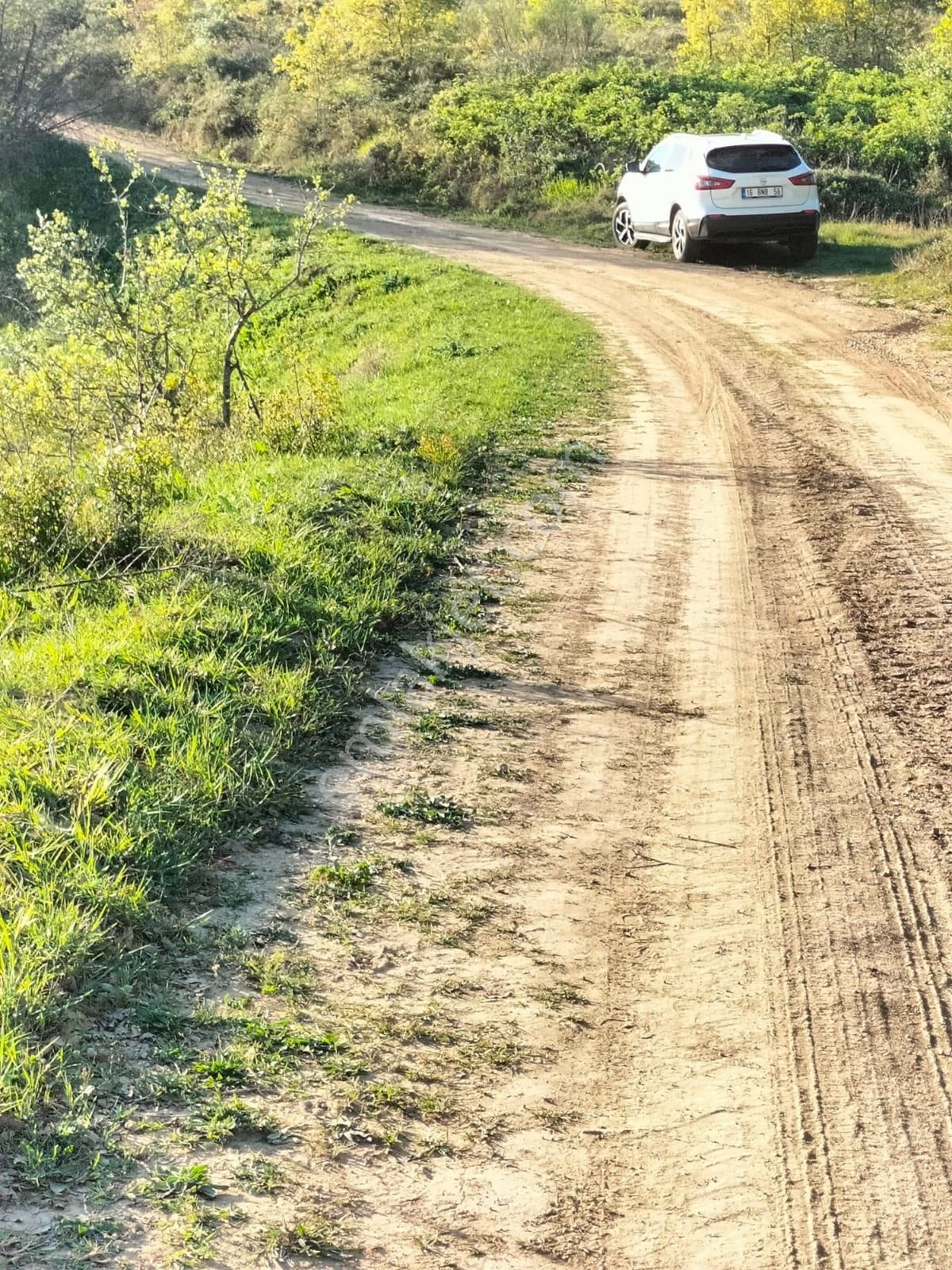 Bursa Yenişehir Kavaklı Bağlar Mevki Satılık Tarla - Görsel 19