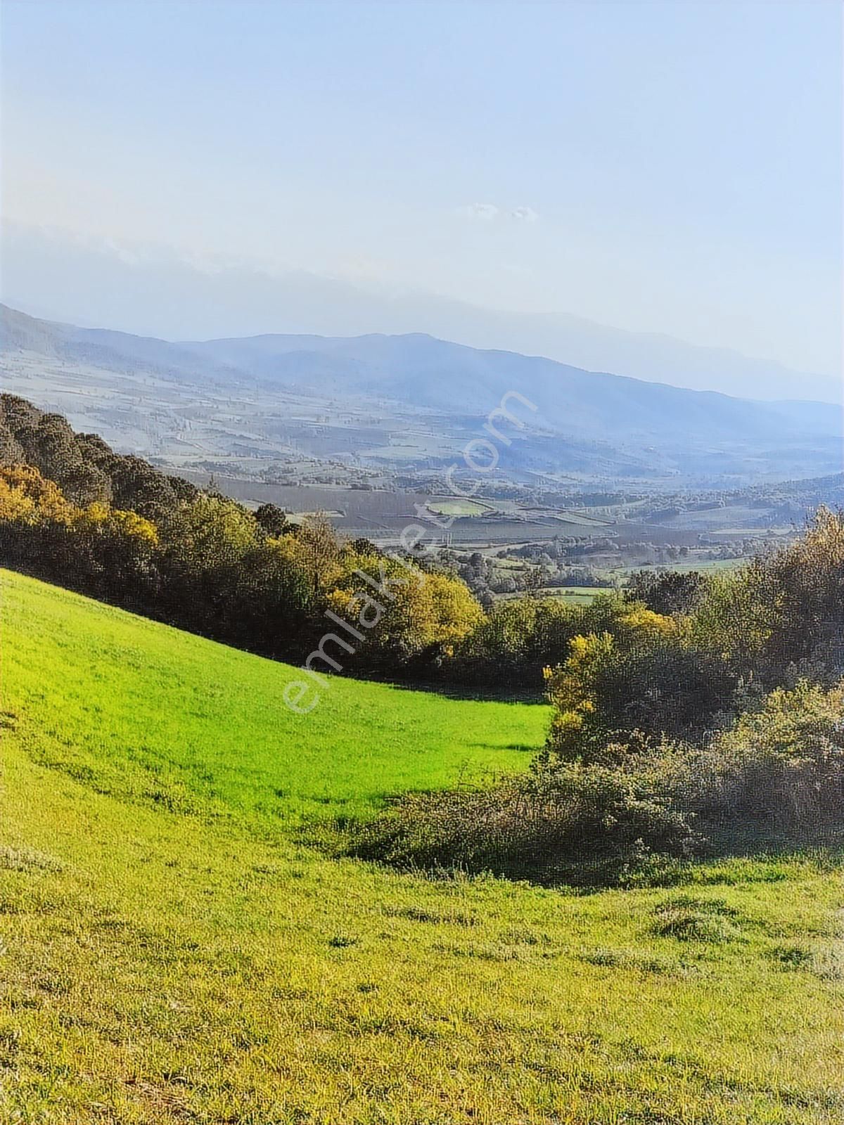 Bursa Yenişehir Kavaklı Bağlar Mevki Satılık Tarla - Görsel 13