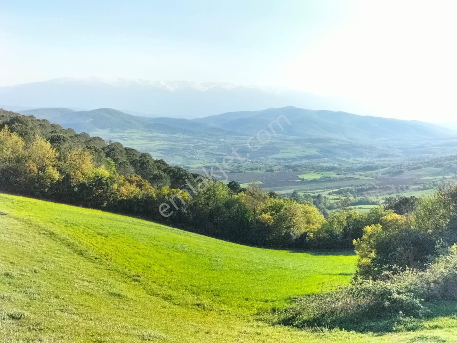 Bursa Yenişehir Kavaklı Bağlar Mevki Satılık Tarla - Görsel 24