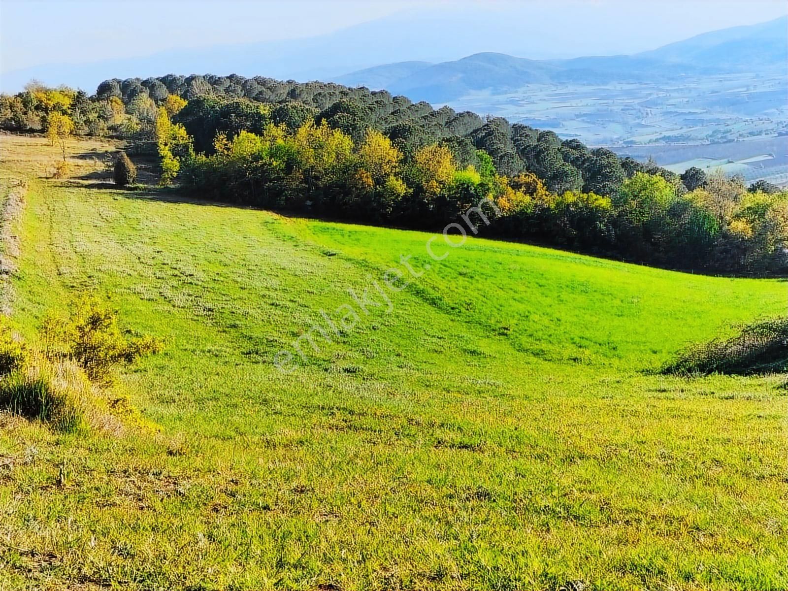 Bursa Yenişehir Kavaklı Bağlar Mevki Satılık Tarla - Görsel 23