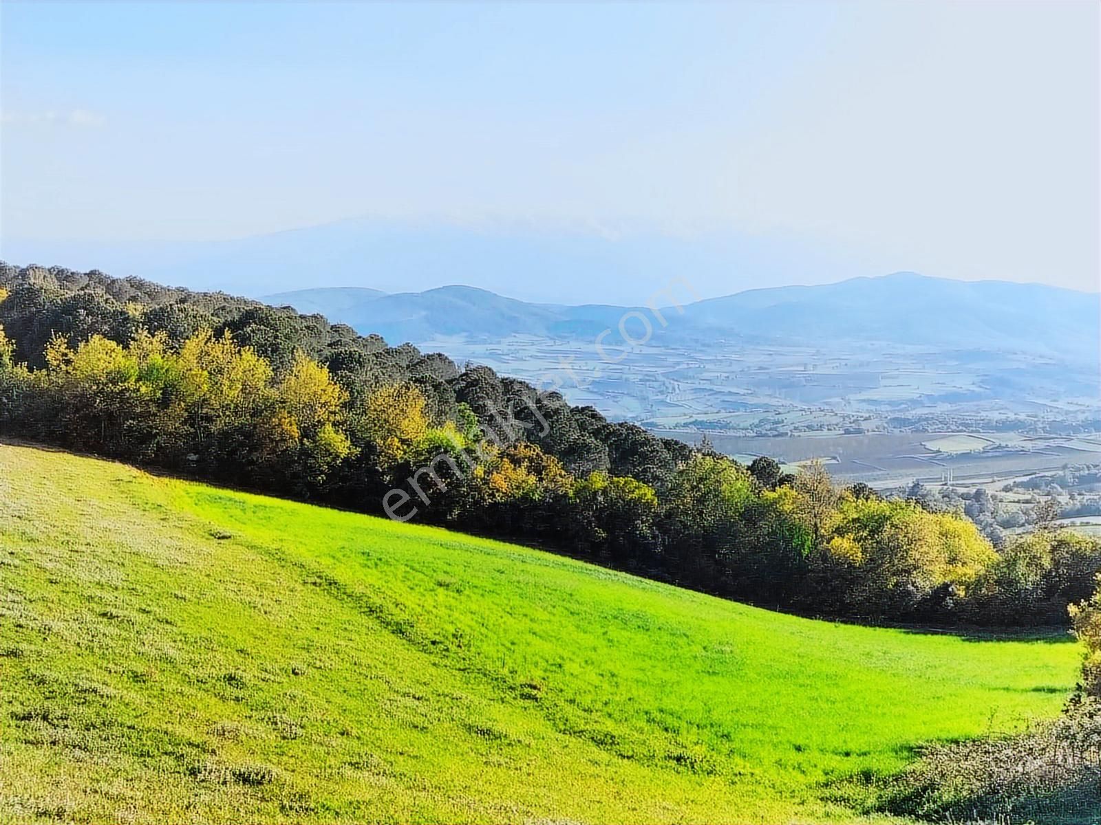 Bursa Yenişehir Kavaklı Bağlar Mevki Satılık Tarla - Görsel 25