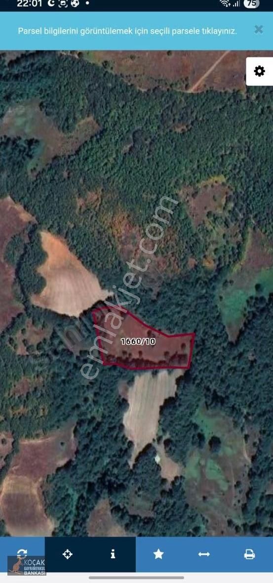 Hacıosman Mahallesinde Resmi Yol Cepheli 6671 M2 Satılık Tarla - Görsel 2