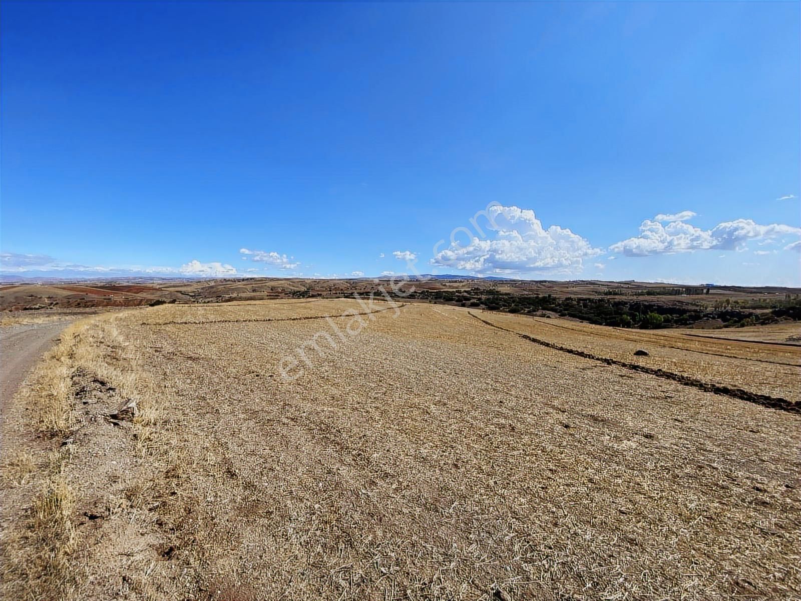*peçenek Te Yol Kenarı Bahçelerin İçinde 1.300 Metre H.tapulu - Görsel 5