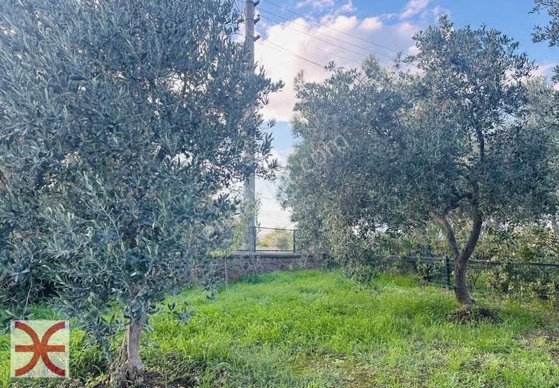 Ayvalık Cunda Da Süper Deniz Manzaralı Tek Katlı 2+1 Müstakilev - Görsel 5