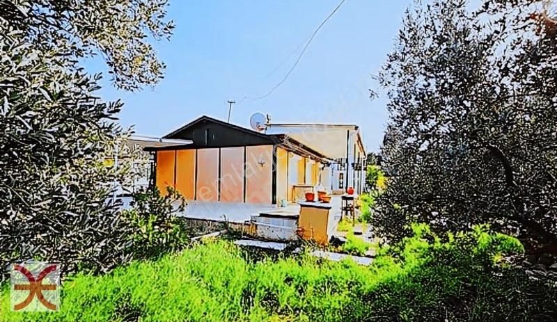 Ayvalık Cunda Da Süper Deniz Manzaralı Tek Katlı 2+1 Müstakilev - Görsel 10